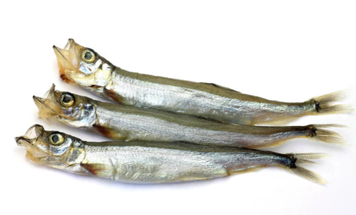 Smoked Shishamo Smelt